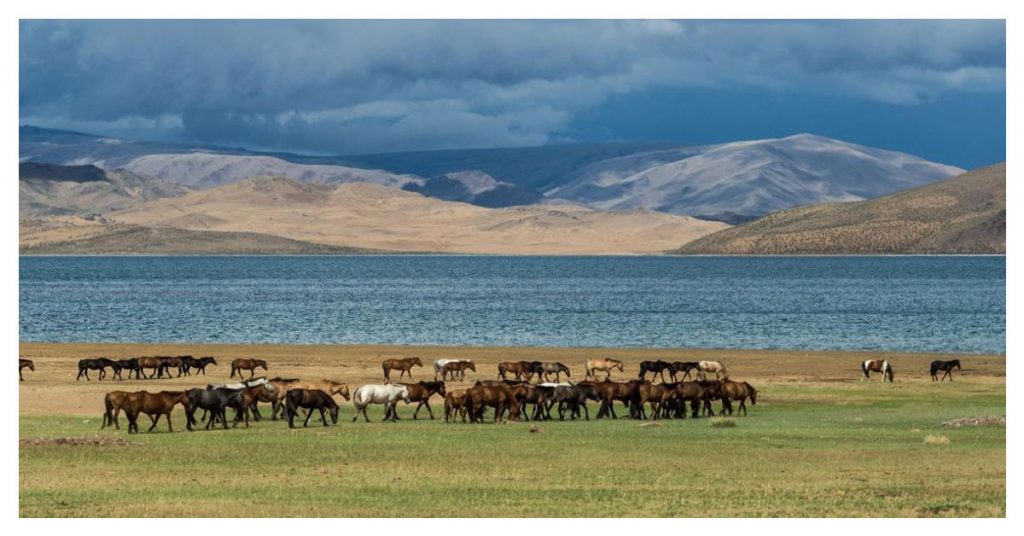 Telmen Nuur Lake, Mongolia