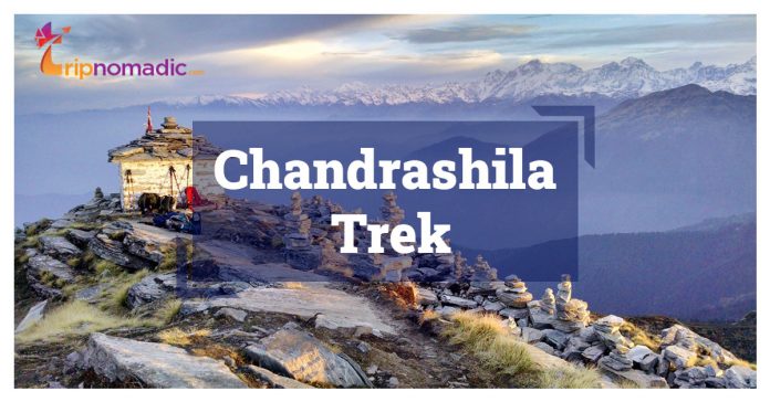 Chandrashila Trek