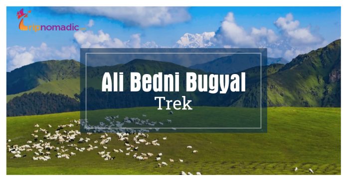 Ali-Bedni-Bugyal-Trek