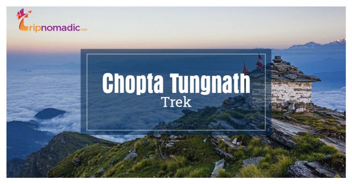 Chopta Tungnath Trek
