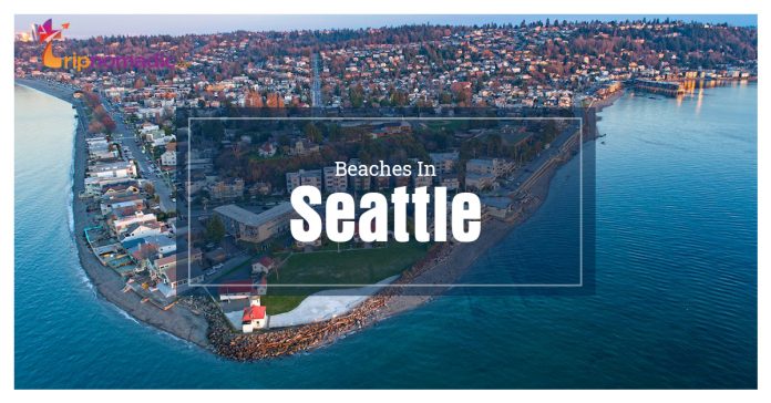 Beaches In Seattle