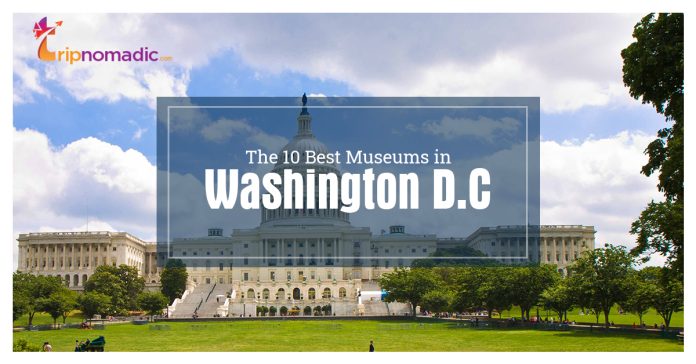 The 10 Best Museums in Washington D.C