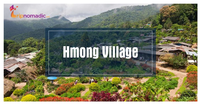 Hmong Village