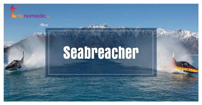 Seabreacher