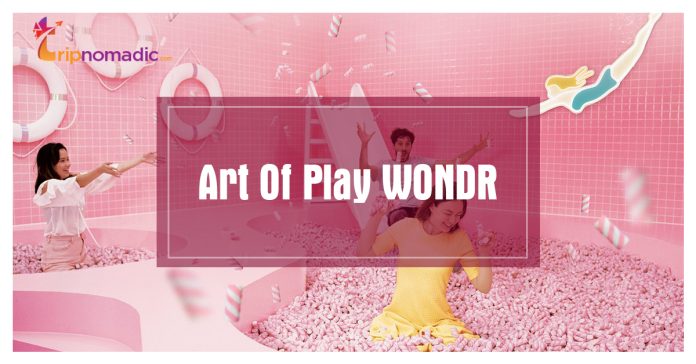 Art Of Play WONDR