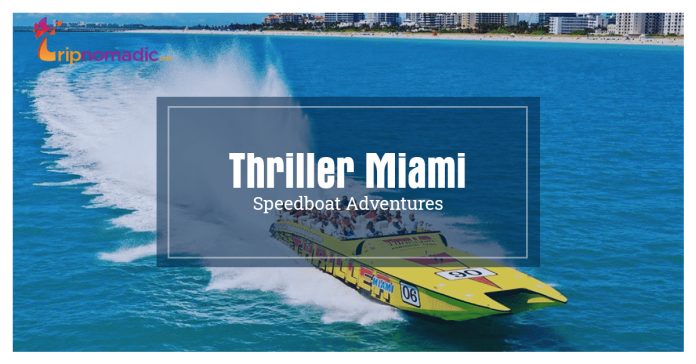 Thriller Miami