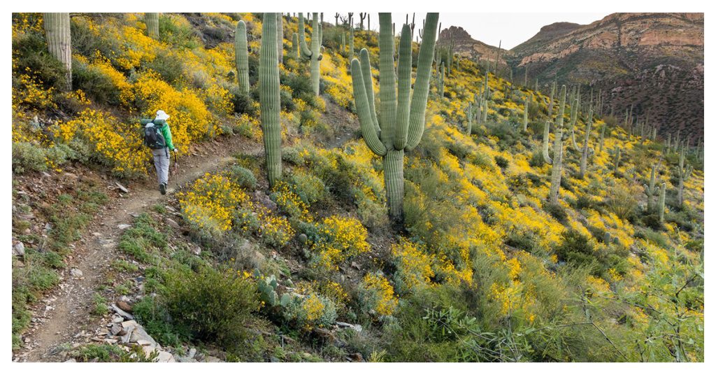 Arizona National Scenic Trail
