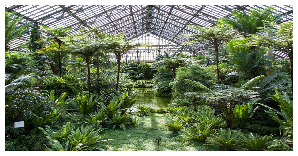 Garfield Park Conservatory – Roam Inside A Tropical Paradise