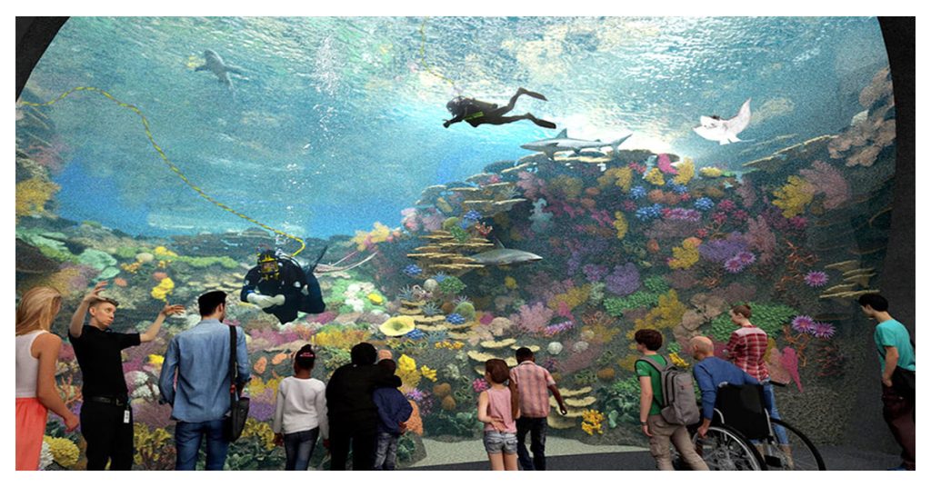 Explore The Underwater Life At Seattle Aquarium