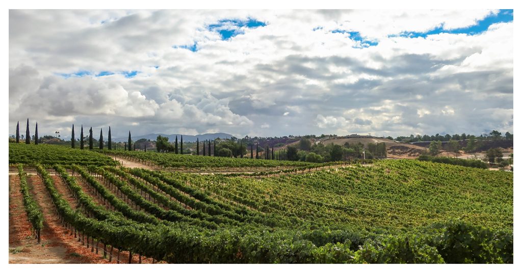 Go Wine Tasting At One Of Temecula's Wineries
