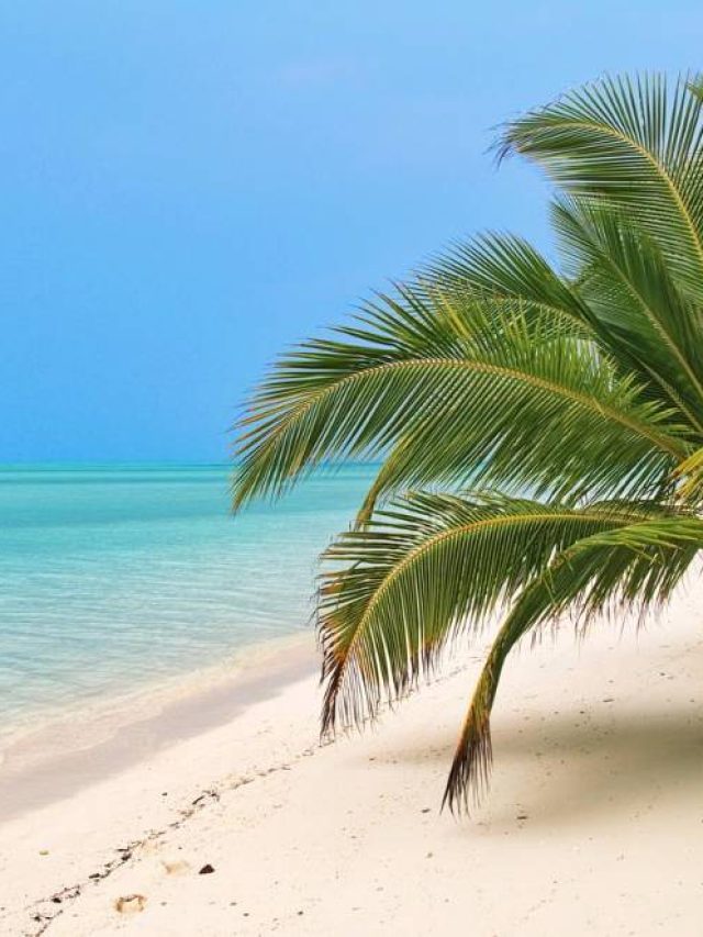 Amazing Things To Do At Lakshadweep in 2024