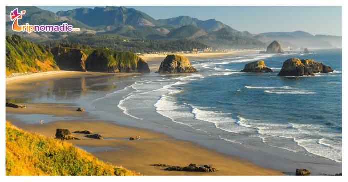 Oregon Beaches