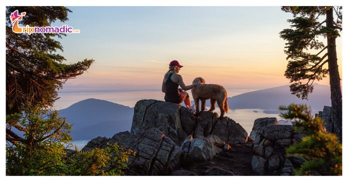 Dog-Friendly National Parks in California