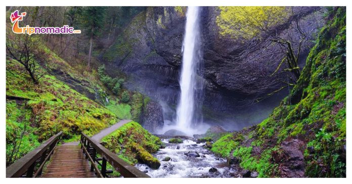 Famous Waterfalls in Oregon