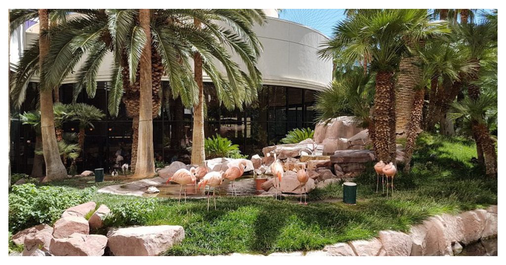 wildlife habitat at Flamingo