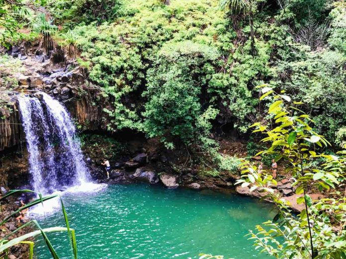 Top 5 Breathtaking Waterfalls in Maui