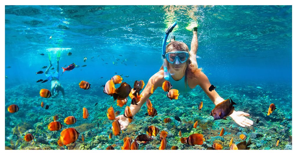 Snorkel or dive the coral reefs